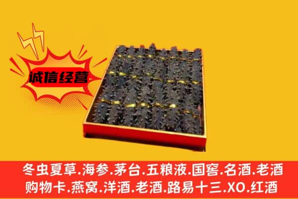 文成县回收海参